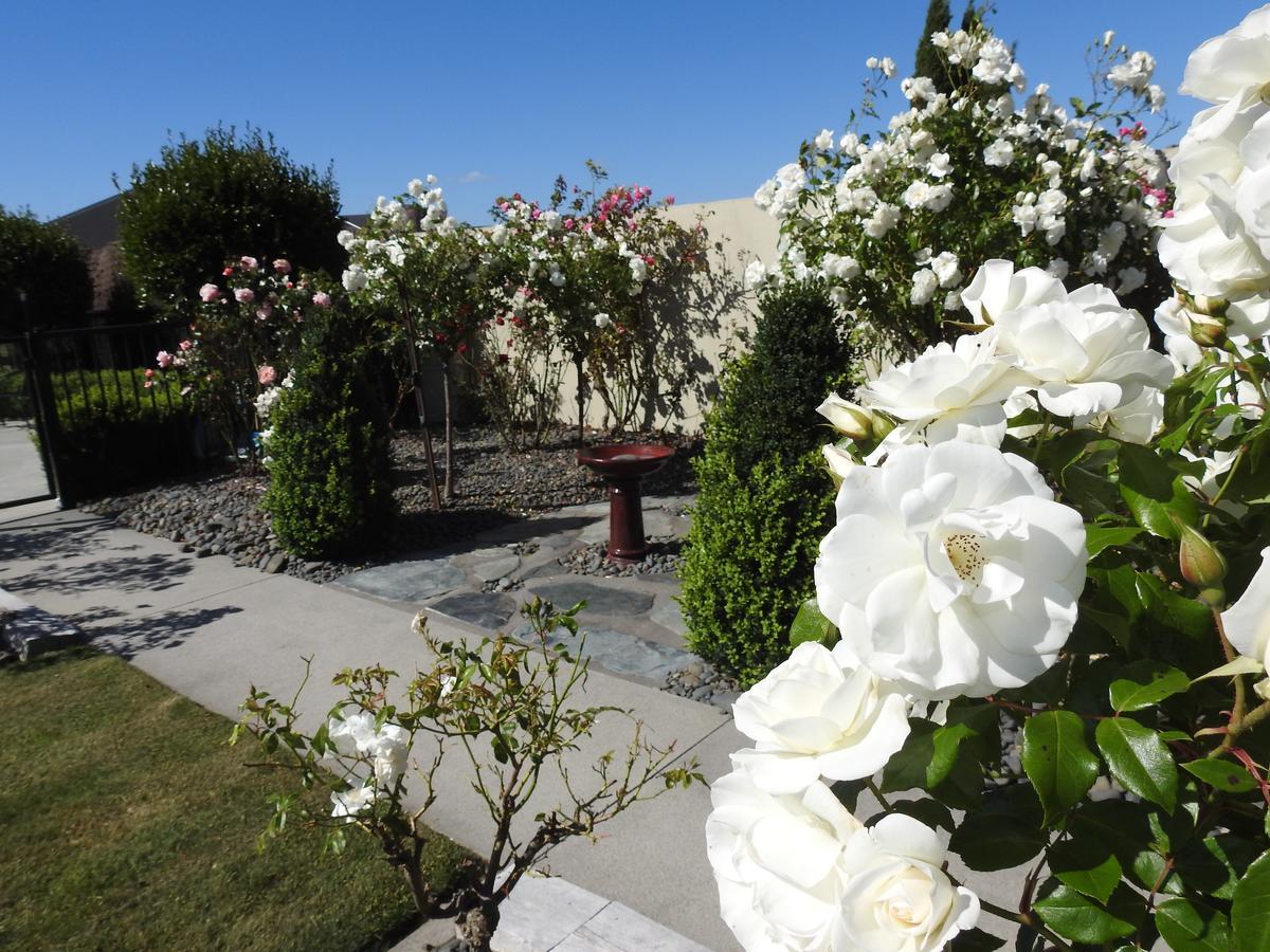 Grasslands Bed & Breakfast Cambridge Ngoại thất bức ảnh